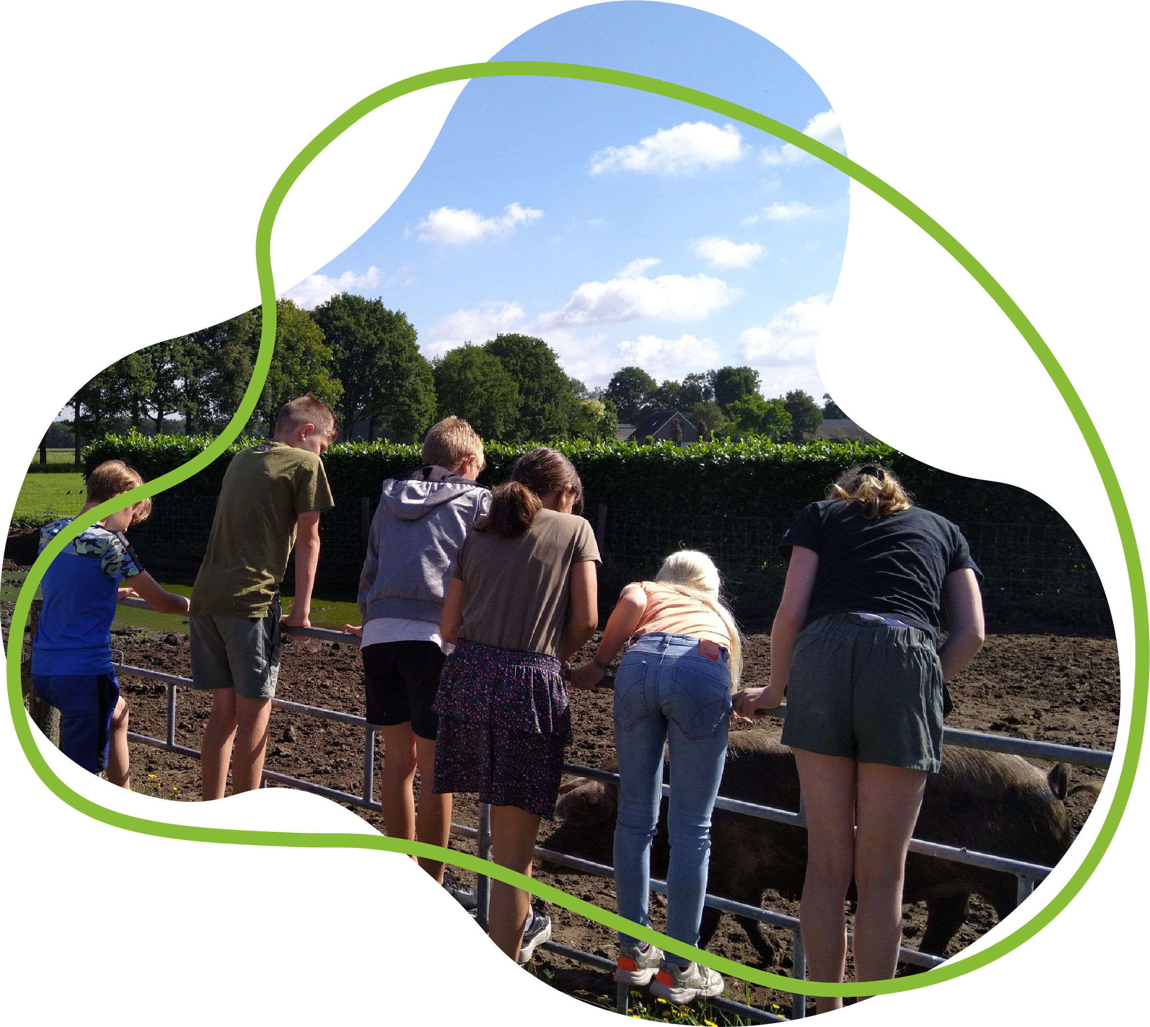 NieskesErf_vorm_foto_boerderijeducatie